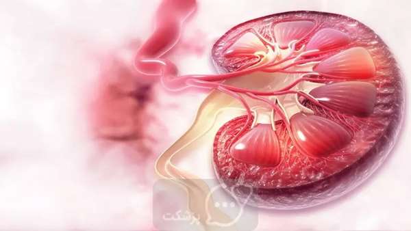  ستاد گیاهان دارویی تدابیر بیماری فشار خون از دیدگاه طب ایرانی (4)